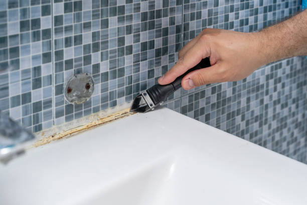 Best Health and Safety Mold Remediation in South Wilton, CT