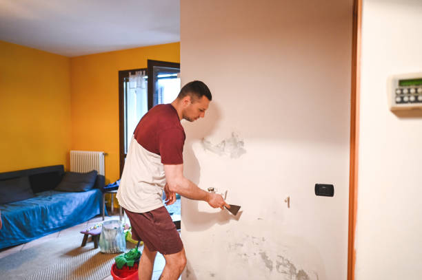 Best Health and Safety Mold Remediation in South Wilton, CT